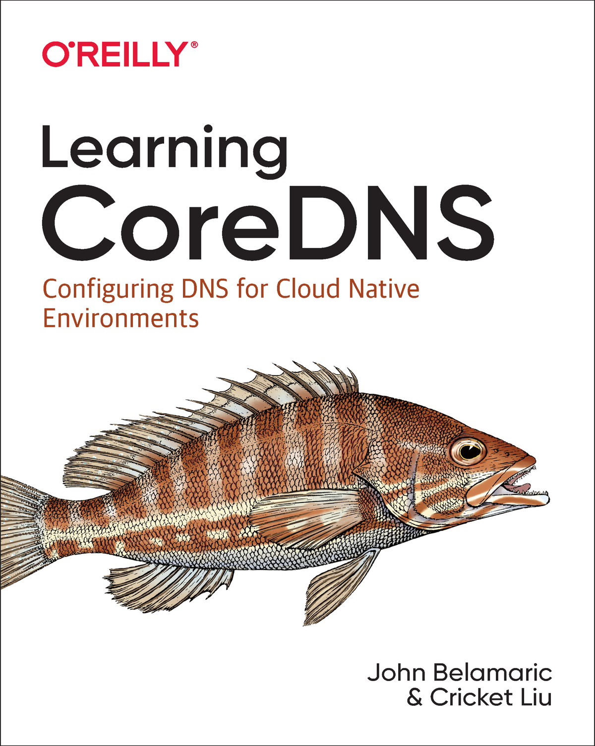 Learning CoreDNS