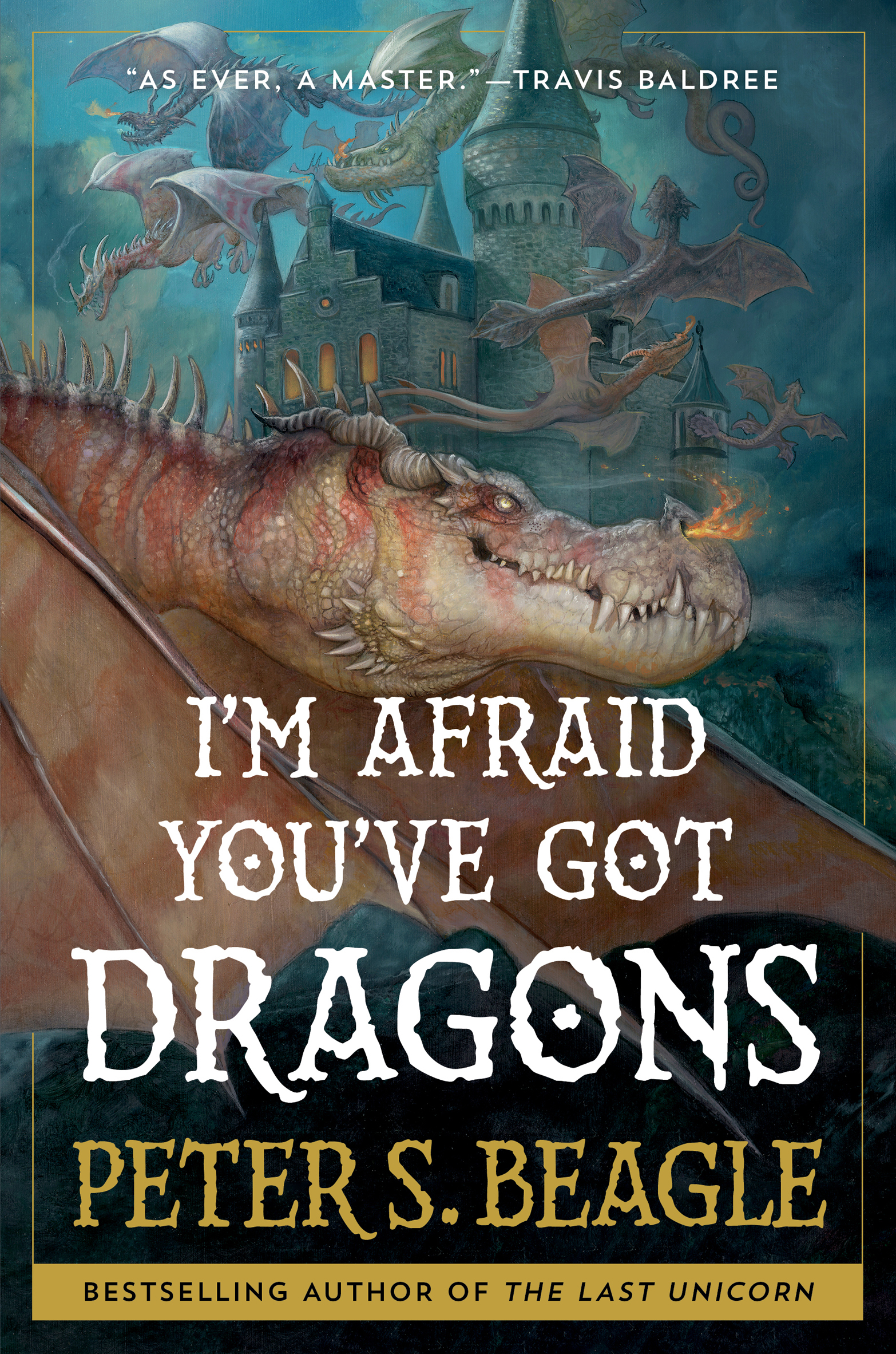 I'm Afraid You've Got Dragons